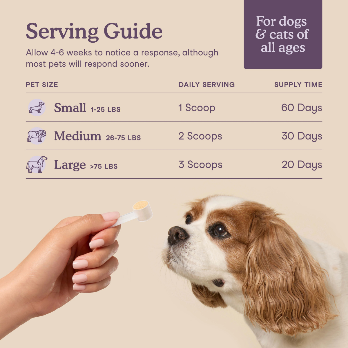 Calming Support for Dogs and Cats